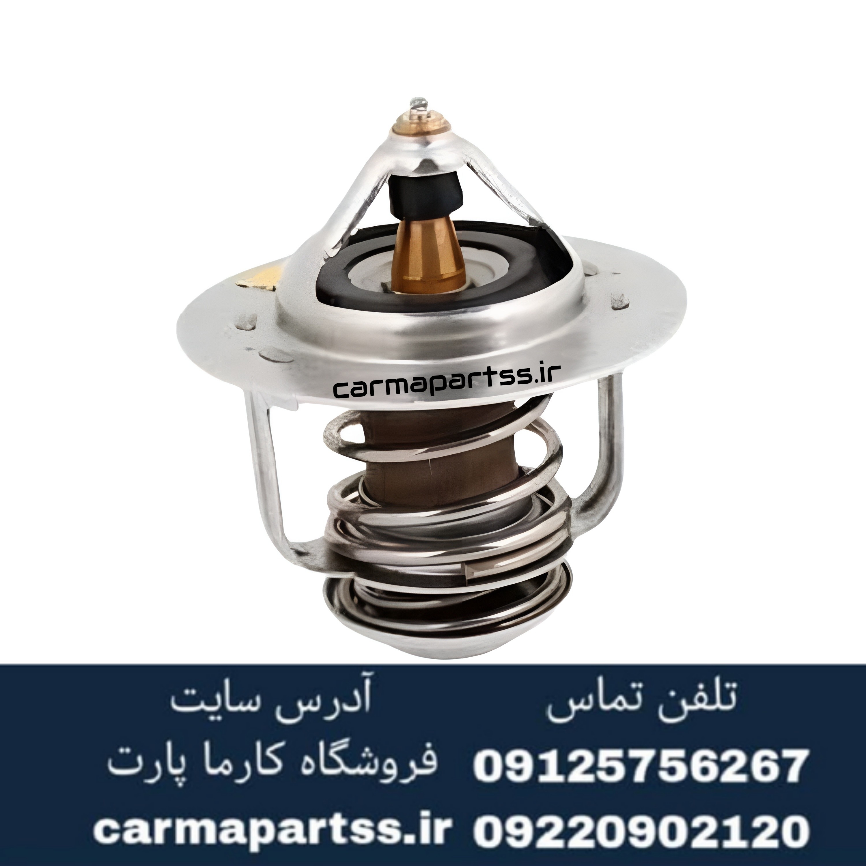 ترموستات آریو